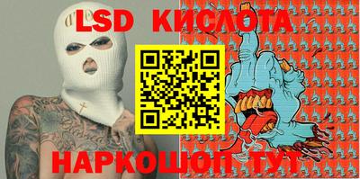 прущие грибы Кингисепп