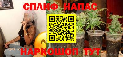 прущие грибы Кингисепп