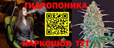 прущие грибы Кингисепп